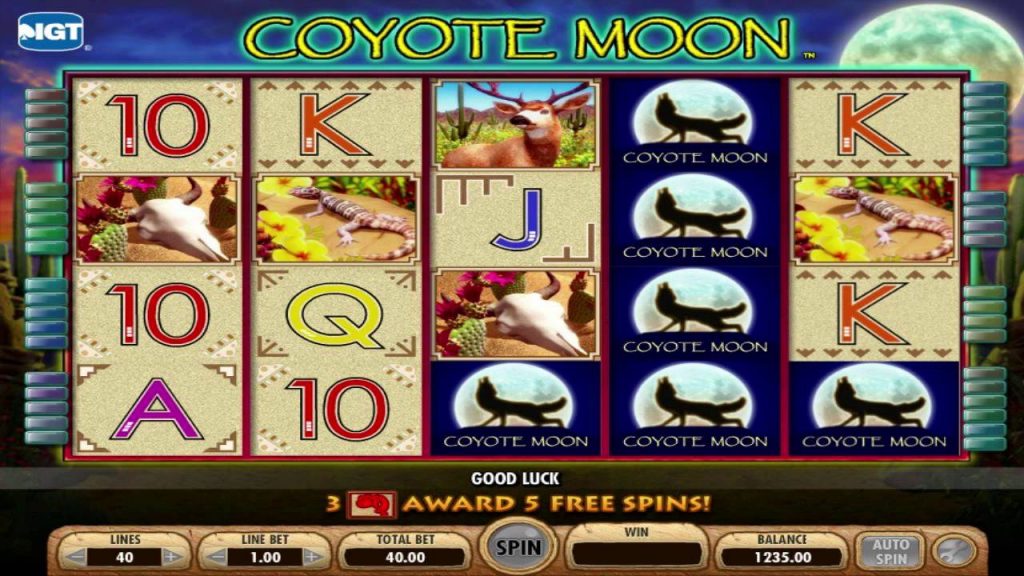 Coyote Moon online game